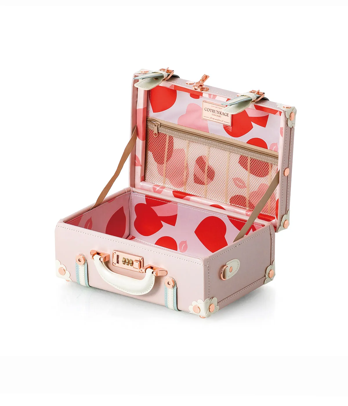 Minimalism Large Check-in Set - Train Case