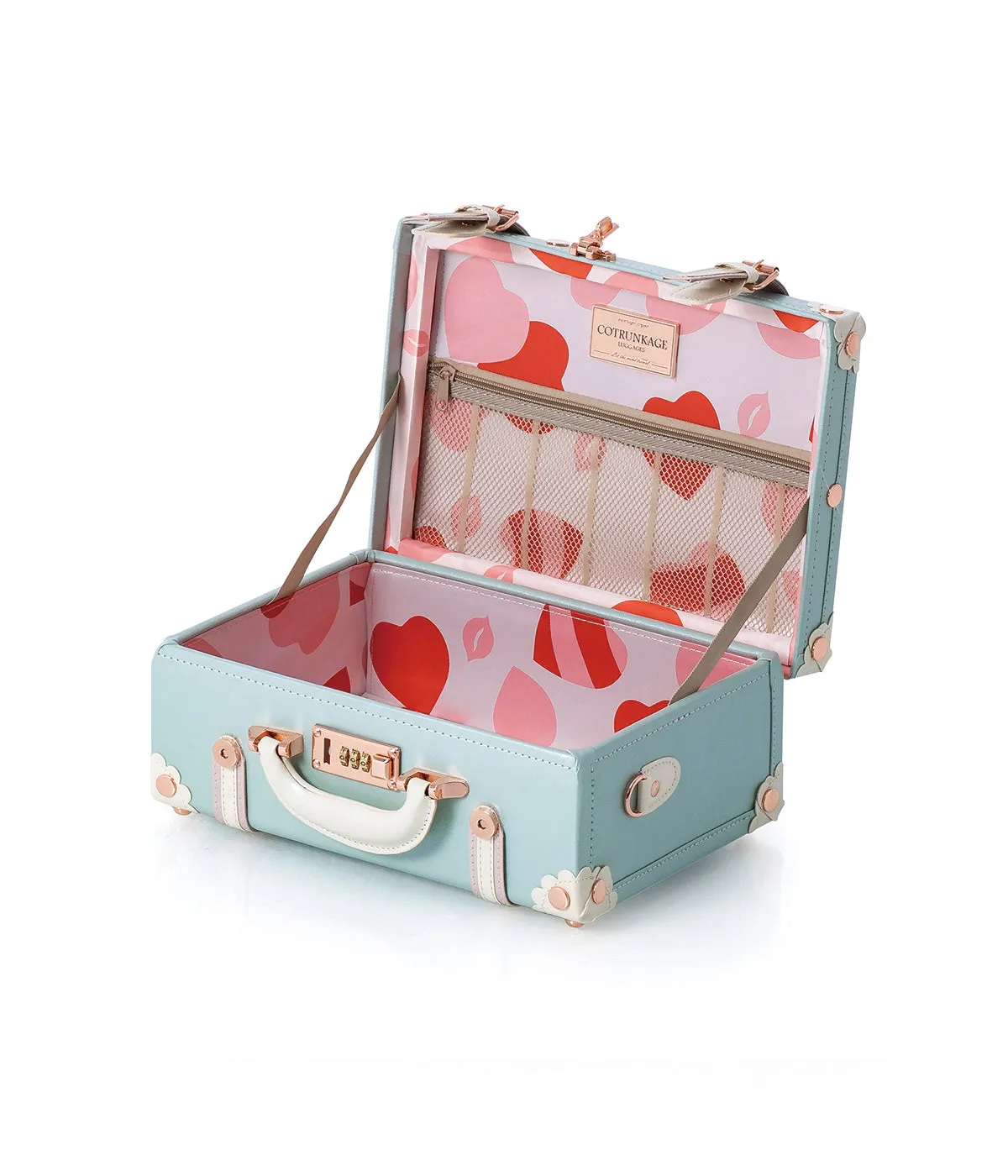 Minimalism Large Check-in Set - Train Case