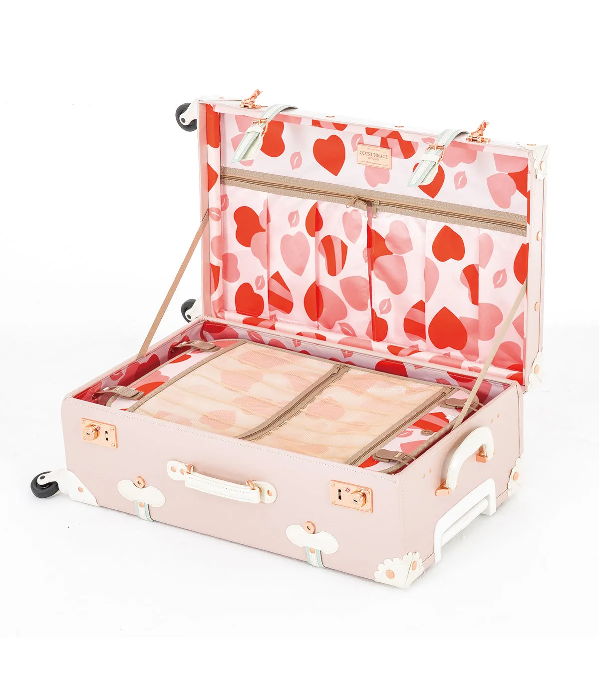 Minimalism Large Check-in Set - Train Case
