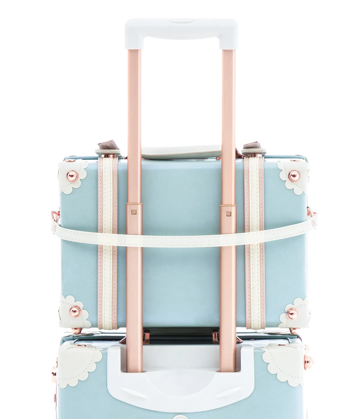 Minimalism Large Check-in Set - Train Case